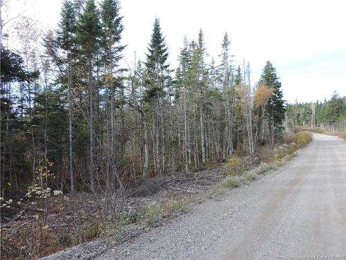 - Old Gardner Creek Rd, Rowley, NB 