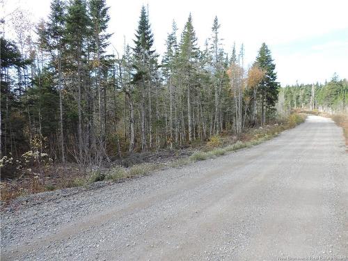 - Old Gardner Creek Rd, Rowley, NB 