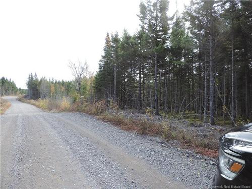 - Old Gardner Creek Rd, Rowley, NB 