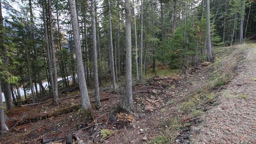 Lot 1 Brouse Loop Road, Nakusp, BC 