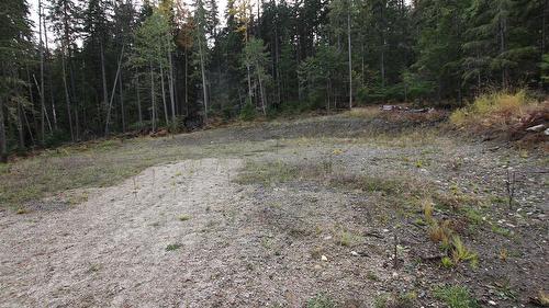 Lot 1 Brouse Loop Road, Nakusp, BC 