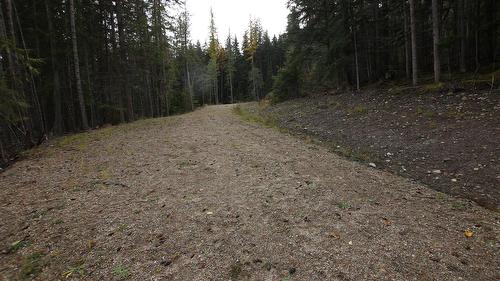 Lot 1 Brouse Loop Road, Nakusp, BC 