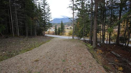 Lot 1 Brouse Loop Road, Nakusp, BC 