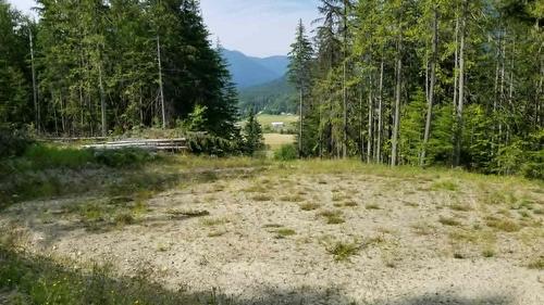Lot 1 Brouse Loop Road, Nakusp, BC 