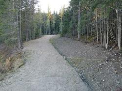 Lot 1 Brouse Loop Road  Nakusp, BC V0G 1R1