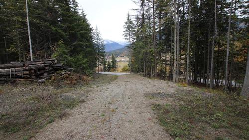 Lot 1 Brouse Loop Road, Nakusp, BC 