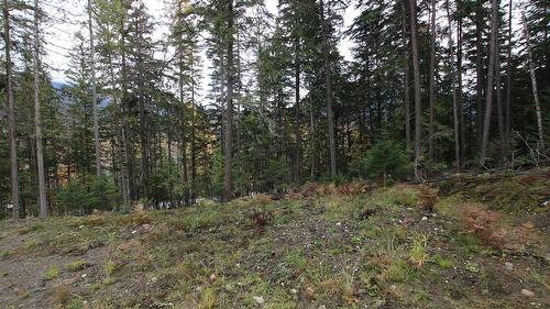 Lot 1 Brouse Loop Road, Nakusp, BC 