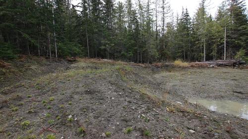 Lot 1 Brouse Loop Road, Nakusp, BC 