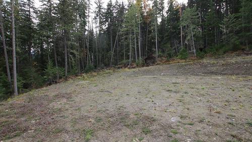 Lot 1 Brouse Loop Road, Nakusp, BC 