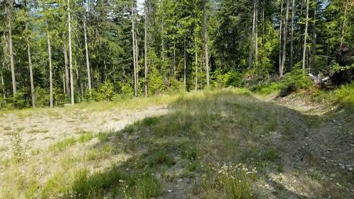 Lot 1 Brouse Loop Road, Nakusp, BC 
