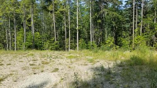Lot 1 Brouse Loop Road, Nakusp, BC 