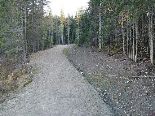 Lot 1 Brouse Loop Road, Nakusp, BC 