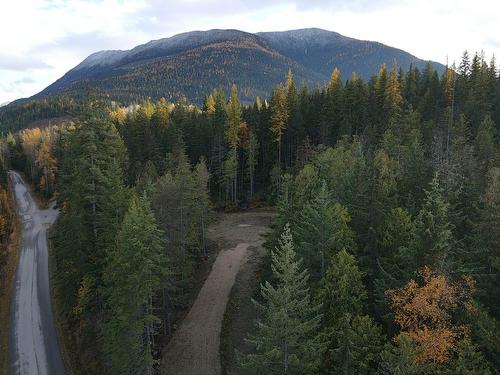 Lot 1 Brouse Loop Road, Nakusp, BC 