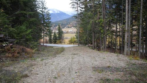 Lot 1 Brouse Loop Road, Nakusp, BC 
