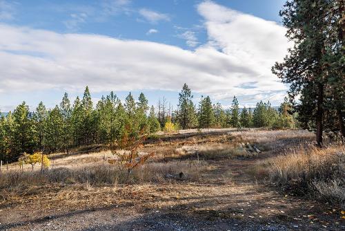 4323 Bedford Lane, Kelowna, BC - Outdoor With View