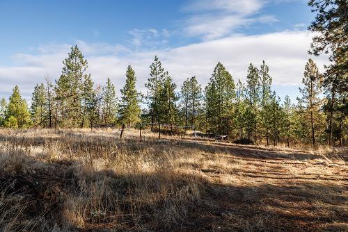 4323 Bedford Lane, Kelowna, BC - Outdoor With View