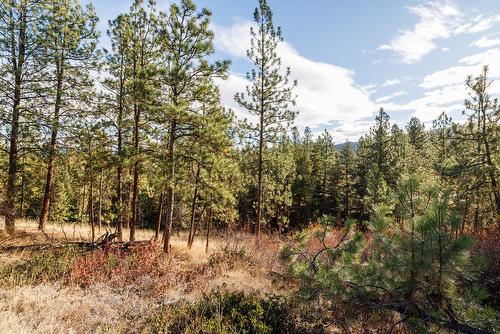 4323 Bedford Lane, Kelowna, BC - Outdoor With View
