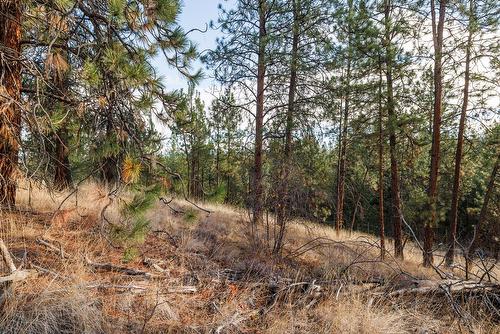 4323 Bedford Lane, Kelowna, BC - Outdoor With View