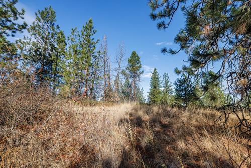 4323 Bedford Lane, Kelowna, BC - Outdoor With View