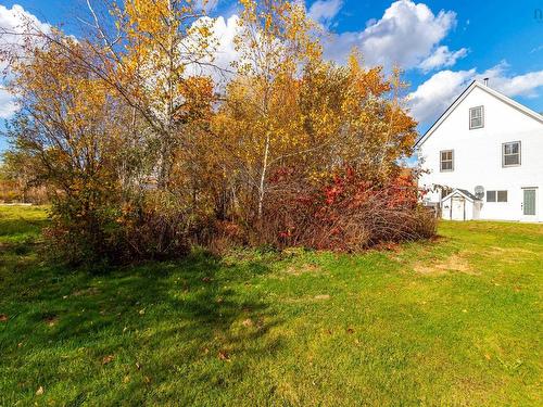 771 Highway 10, Springfield, NS 