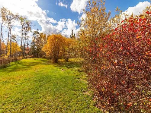 771 Highway 10, Springfield, NS 