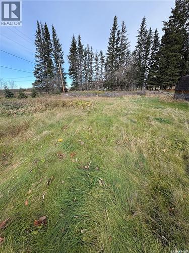 144 Main Street, Arran, SK - Outdoor With View