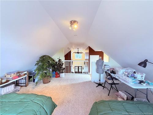 799 Back Greenfield Rd, Summerfield, NB 