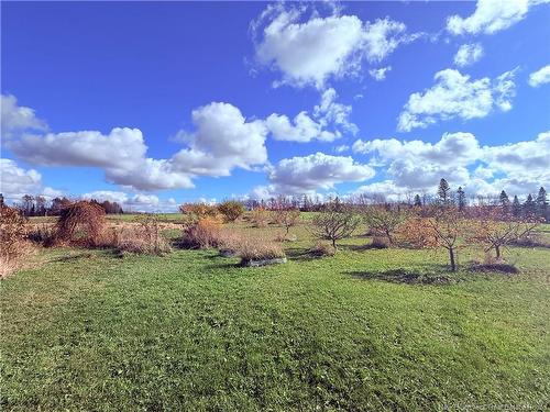 799 Back Greenfield Rd, Summerfield, NB 