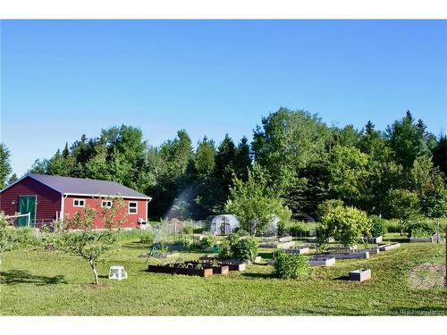 799 Back Greenfield Rd, Summerfield, NB 