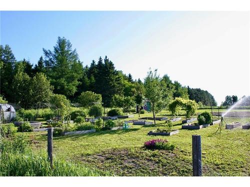 799 Back Greenfield Rd, Summerfield, NB 