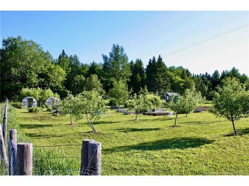 799 Back Greenfield Rd, Summerfield, NB 