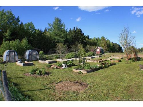 799 Back Greenfield Rd, Summerfield, NB 