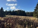 Terre/Terrain - Ch. Petitpas, Les Îles-De-La-Madeleine, QC 