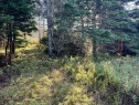 Terre/Terrain - Ch. Petitpas, Les Îles-De-La-Madeleine, QC 