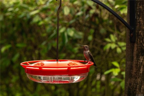 104-2111 Meredith Rd, Nanaimo, BC - Indoor Photo Showing Other Room
