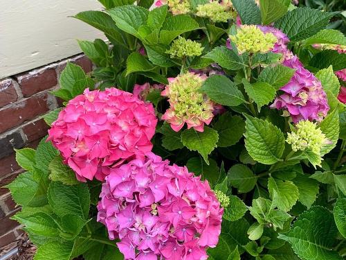 55 Lighthouse Road, Digby, NS 