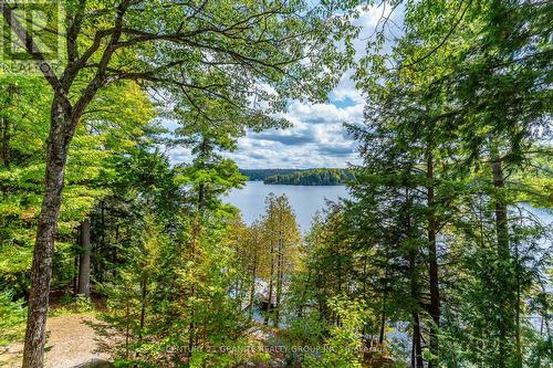 1140 Regal Trail, Highlands East (Cardiff Ward), ON - Outdoor With Body Of Water With View