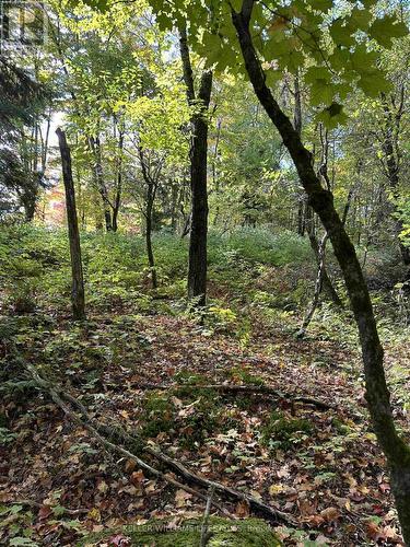 0 Cedar Crescent, Nipissing, ON 