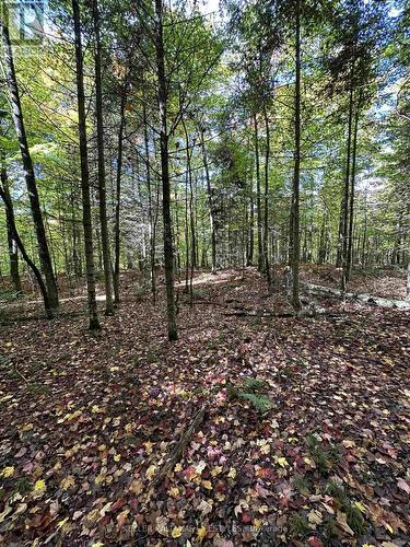 0 Cedar Crescent, Nipissing, ON 