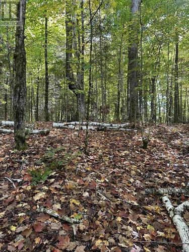 0 Cedar Crescent, Nipissing, ON 