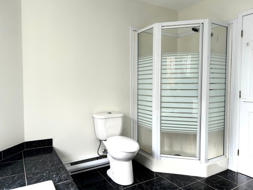 Salle de bains - 457 Rue Bellevue, Magog, QC - Indoor Photo Showing Bathroom