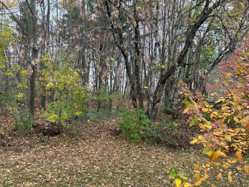 Extérieur - 457 Rue Bellevue, Magog, QC - Outdoor