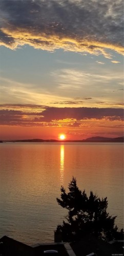 7-4771 Cordova Bay Rd, Saanich, BC 