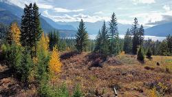 235 Fullmoon Road  Rosebery, BC V0G 1S1