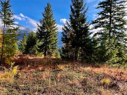 235 Fullmoon Road, Rosebery, BC - Outdoor With View