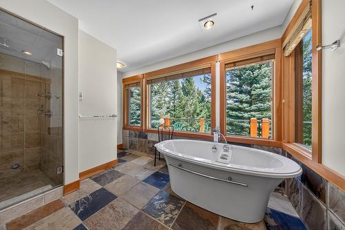 2557 Ledgerock Ridge, Invermere, BC - Indoor Photo Showing Bathroom