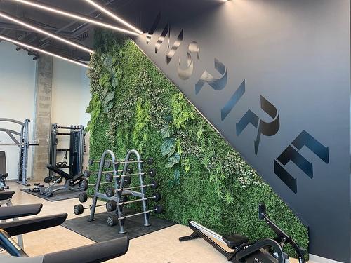 Exercise room - 524-705 Av. Pierre-Dansereau, Terrebonne (Terrebonne), QC - Indoor Photo Showing Gym Room