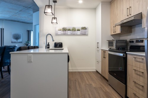 Cuisine - 408-705 Av. Pierre-Dansereau, Terrebonne (Terrebonne), QC - Indoor Photo Showing Kitchen