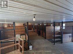 View from the connected entrance from house - 