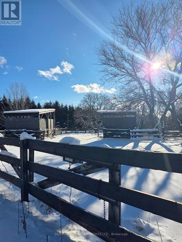 Pastures connected to the stables - 7788 County 21 Road, Augusta, ON - Outdoor